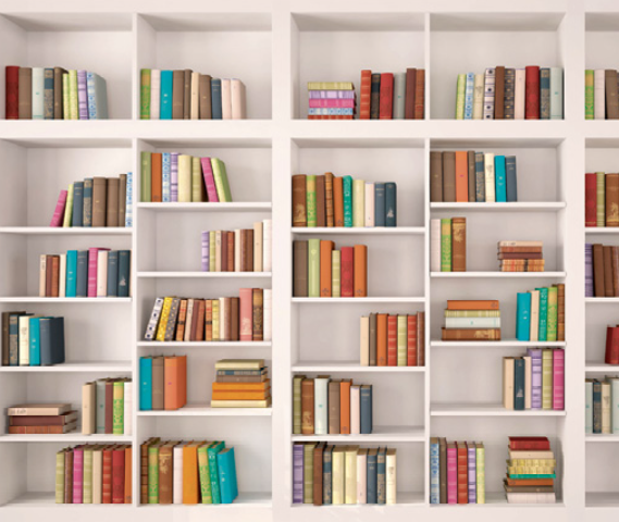 Bibliothèque sur mesure en bois conçue et installée par Arca Menuiseries pour un intérieur élégant.